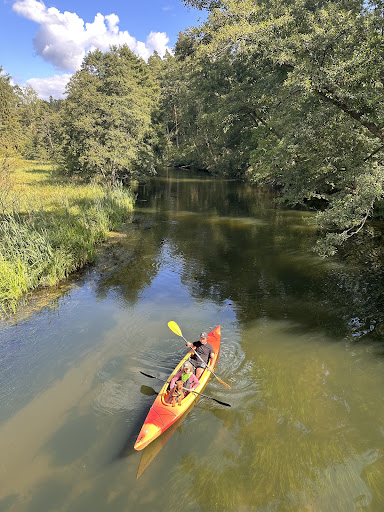 Photo from customer review