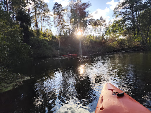 Photo from customer review